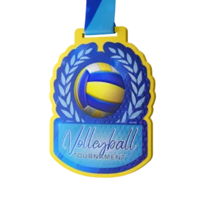 High School Volleyball Tournament