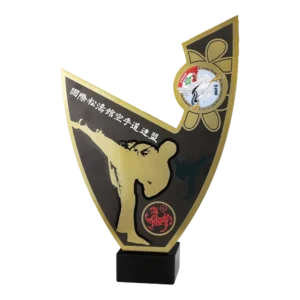 SKIF World Championships