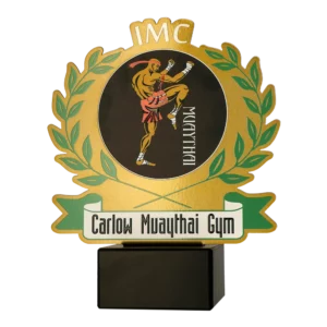 Carlow Muaythai Gym